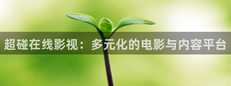 黑蚂蚁影院免费：超碰在线影视：多元化的电影与内容平台