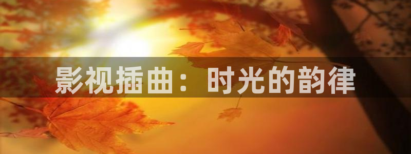 黑蚂蚁影院电视剧网站：影视插曲：时光的韵律
