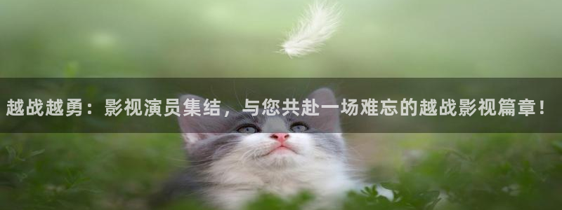 黑蚂蚁影院：越战越勇：影视演员集结，与您共赴一场难忘的越战影视篇章！