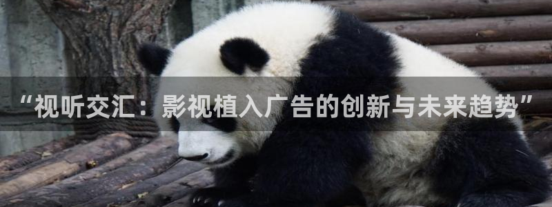 黑蚂蚁电影：“视听交汇：影视植入广告的创新与未来趋势”