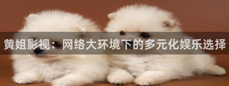 黑蚂蚁影院在线电视剧：黄姐影视：网络大环境下的多元化娱乐选择