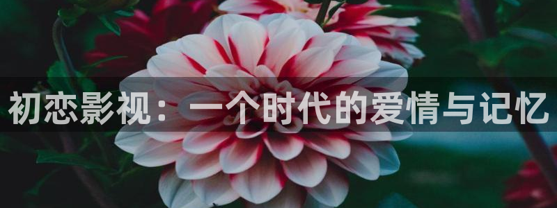 黑蚂蚁影视电视大全：初恋影视：一个时代的爱情与记忆