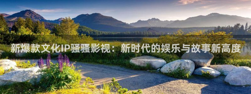 黑蚂蚁视频电视剧：新爆款文化IP骚骚影视：新时代的娱乐与故事新高度