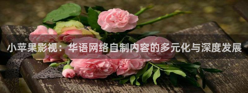 黑蚂蚁分集剧情介绍：小苹果影视：华语网络自制内容的多元化与深度发展