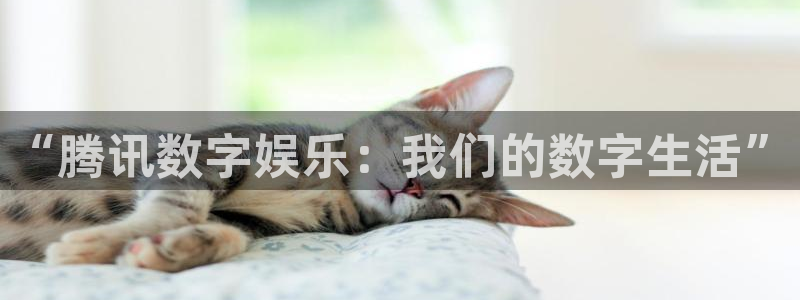 黑蚂蚁电视剧全集免费收看：“腾讯数字娱乐：我们的数字生活”