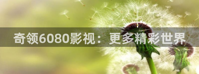 黑蚂蚁在线观看：奇领6080影视：更多精彩世界